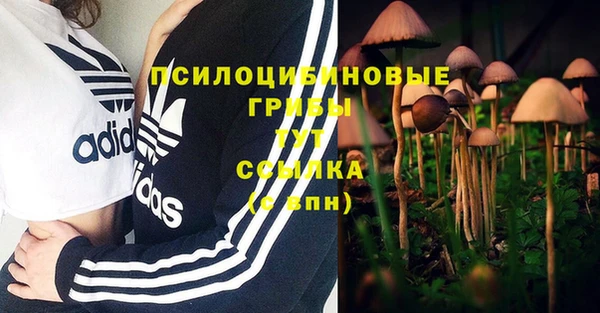 первитин Алзамай